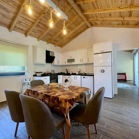 Villa Goya Villa